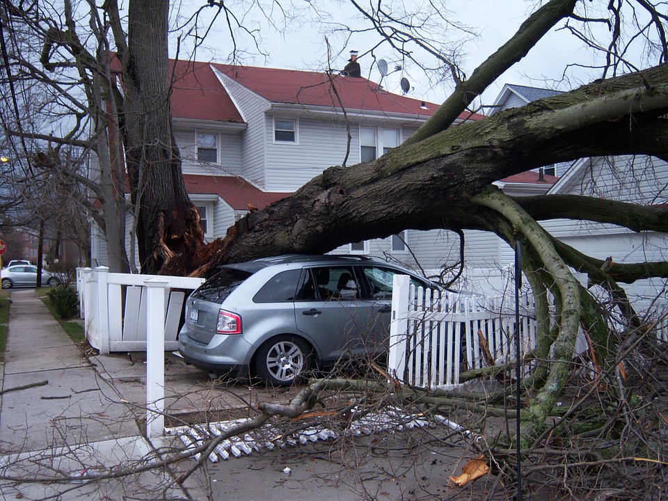Recover From Storm Damage, With Mr. Auto Glass