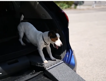 Nissan’s New Ride Goes To The Dogs